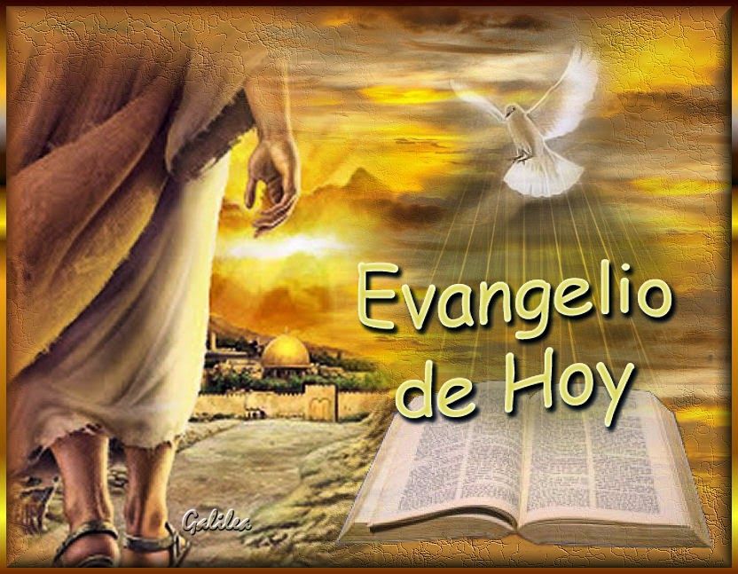 Blog Católico de Javier Olivares, jubilado COMENTARIO DEL EVANGELIO