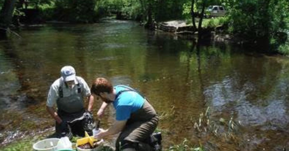 PA Environment Digest Blog: Stroud Water Research Center Launches Its