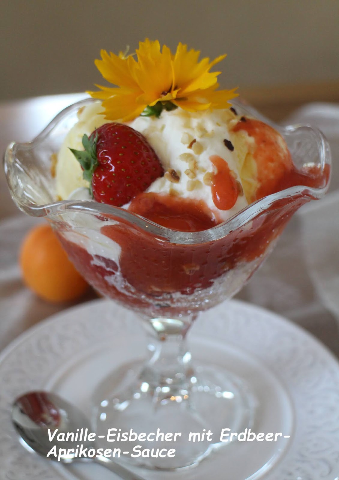 mein Land und Gartengenuss : Vanille-Eisbecher mit Erdbeer-Aprikosen-Sauce