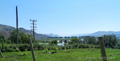 looking from site of Tranquille on the lake towards Kamloops to the east