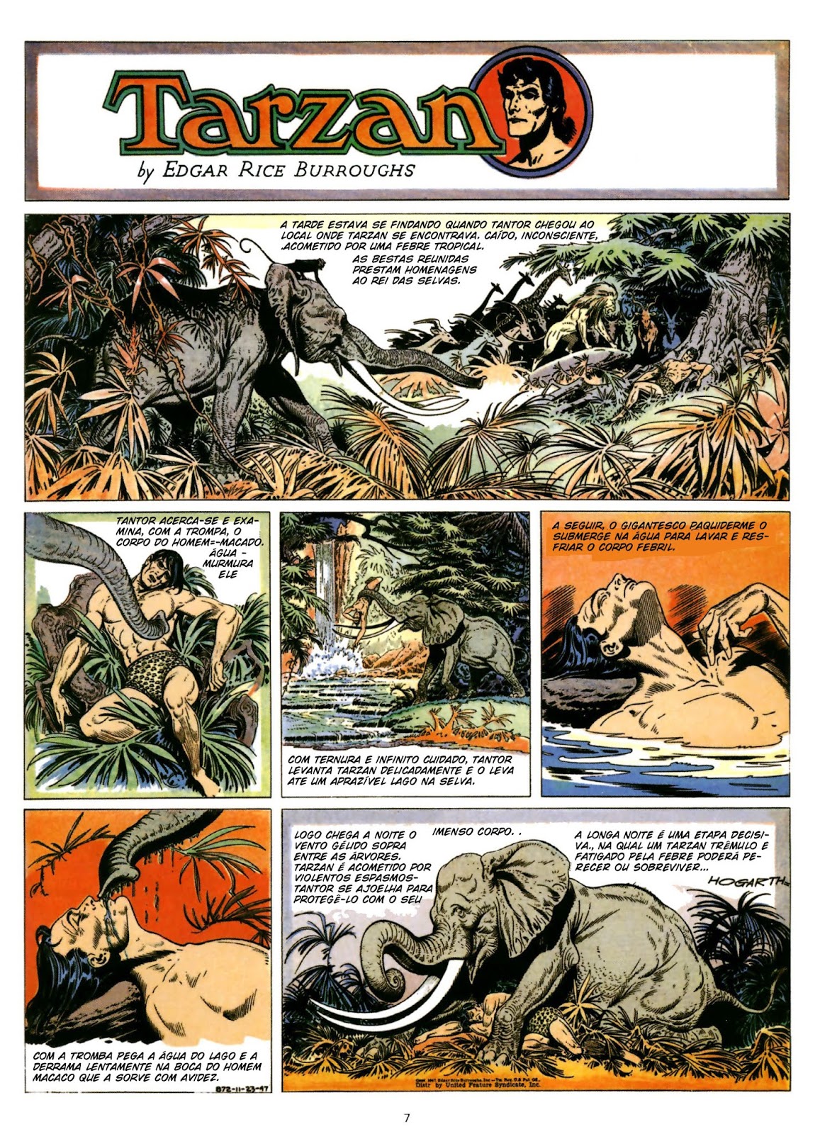 Tarzan - Rei das Selvas AA008
