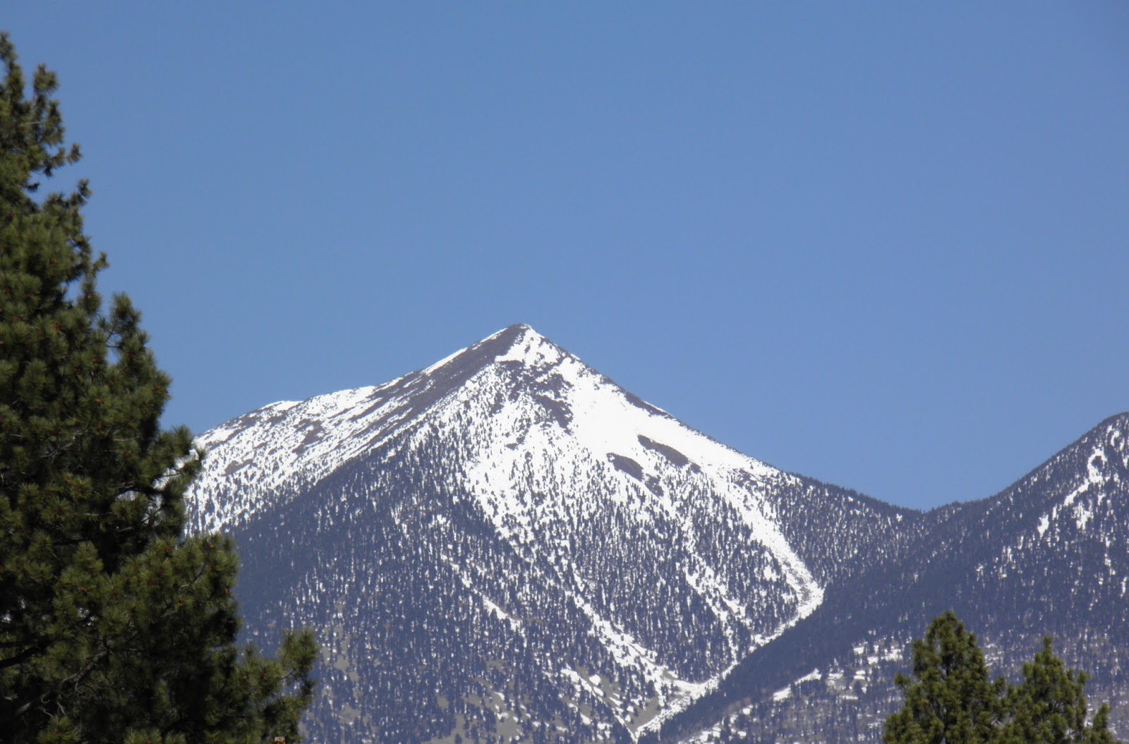 walking flagstaff: spring is coming