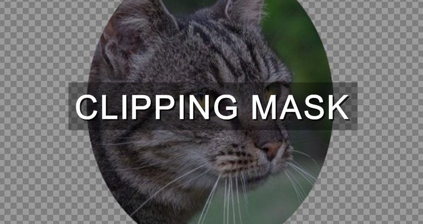 Panduan Lengkap Cara Clipping Mask di Photoshop Panduan Lengkap Cara Clipping Mask di Photoshop