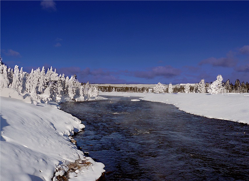 Fly Fishing In Yellowstone National Park Went Fishing Caught Fish