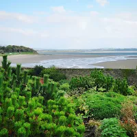 Ireland Photos: Pictures of Lissadell House