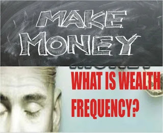 What is Wealth Frequency?