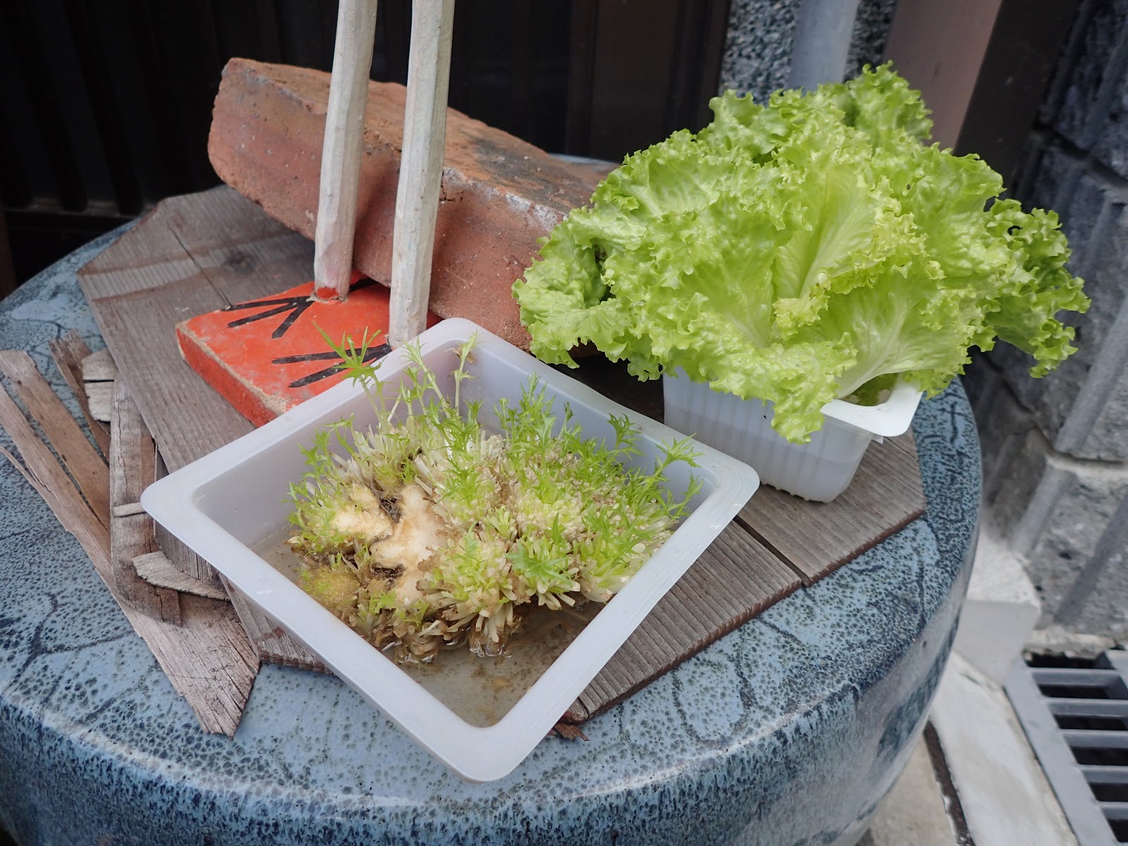 オーガニックハウス Salute 京都 でランチ 酵素玄米の美味しいベジタリアンカフェ 珍妙雑記帖