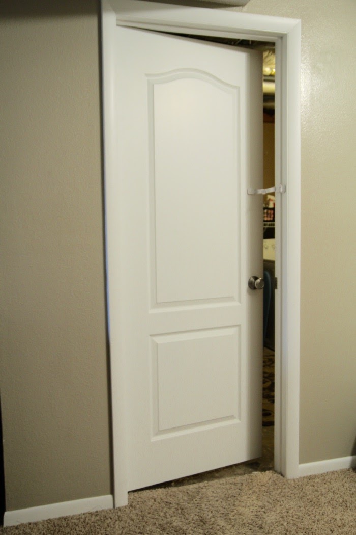 bybmg How to Transition a Cat into a House with Kids