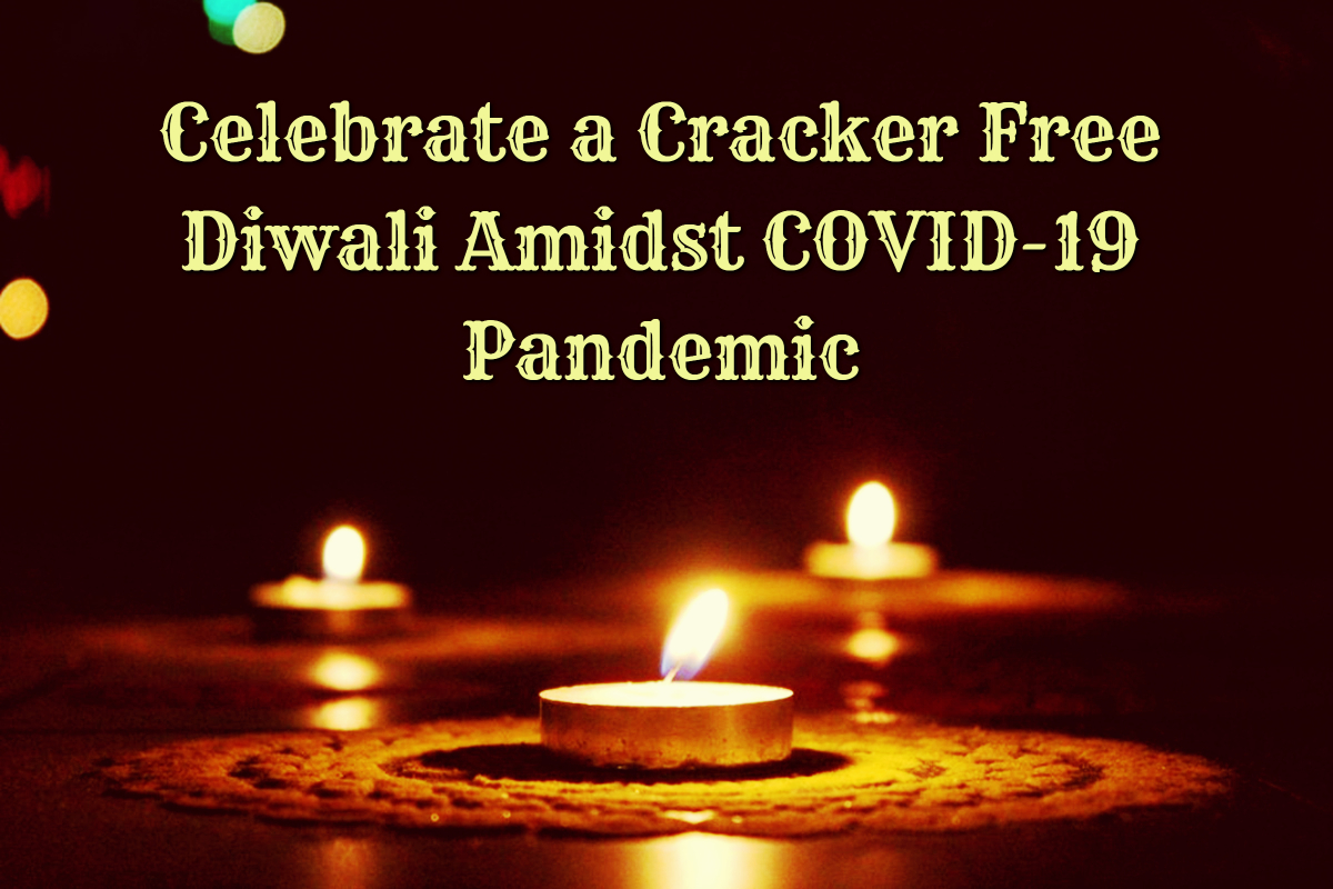 featurephotocelebratecrackerfreediwaliconsciencerootconscience