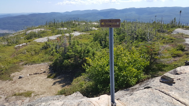 Point de vue à partir du sommet de la Montagne Blanche
