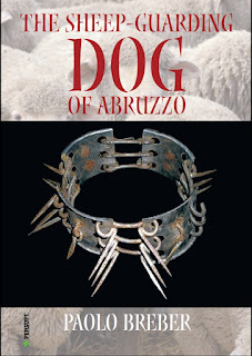 The Sheep Guarding Dog of Abruzzo