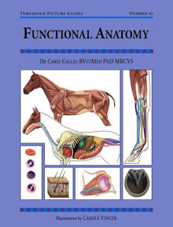 Functional Anatomy by Chris Colles