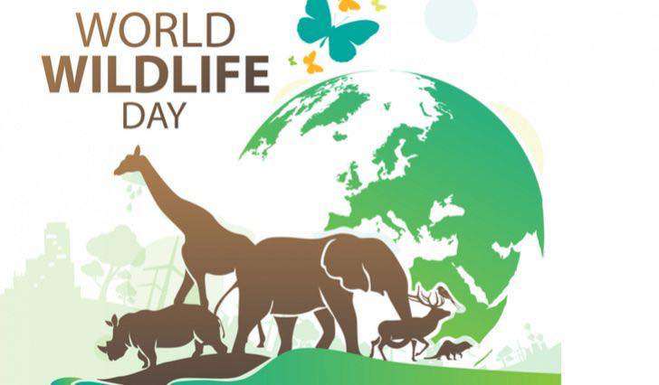 World Wildlife Day Wishes Awesome Images, Pictures, Photos, Wallpapers