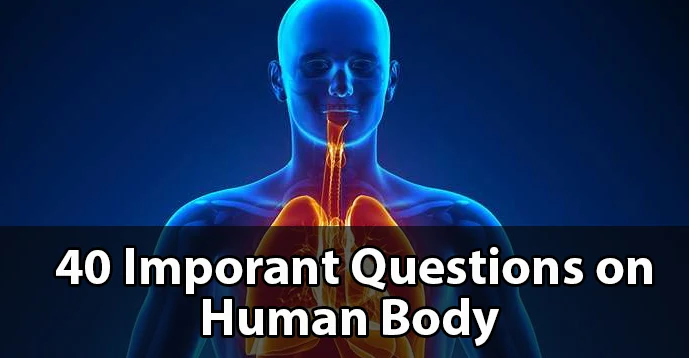 40 Important Question on Human Body - Kerala PSC GK