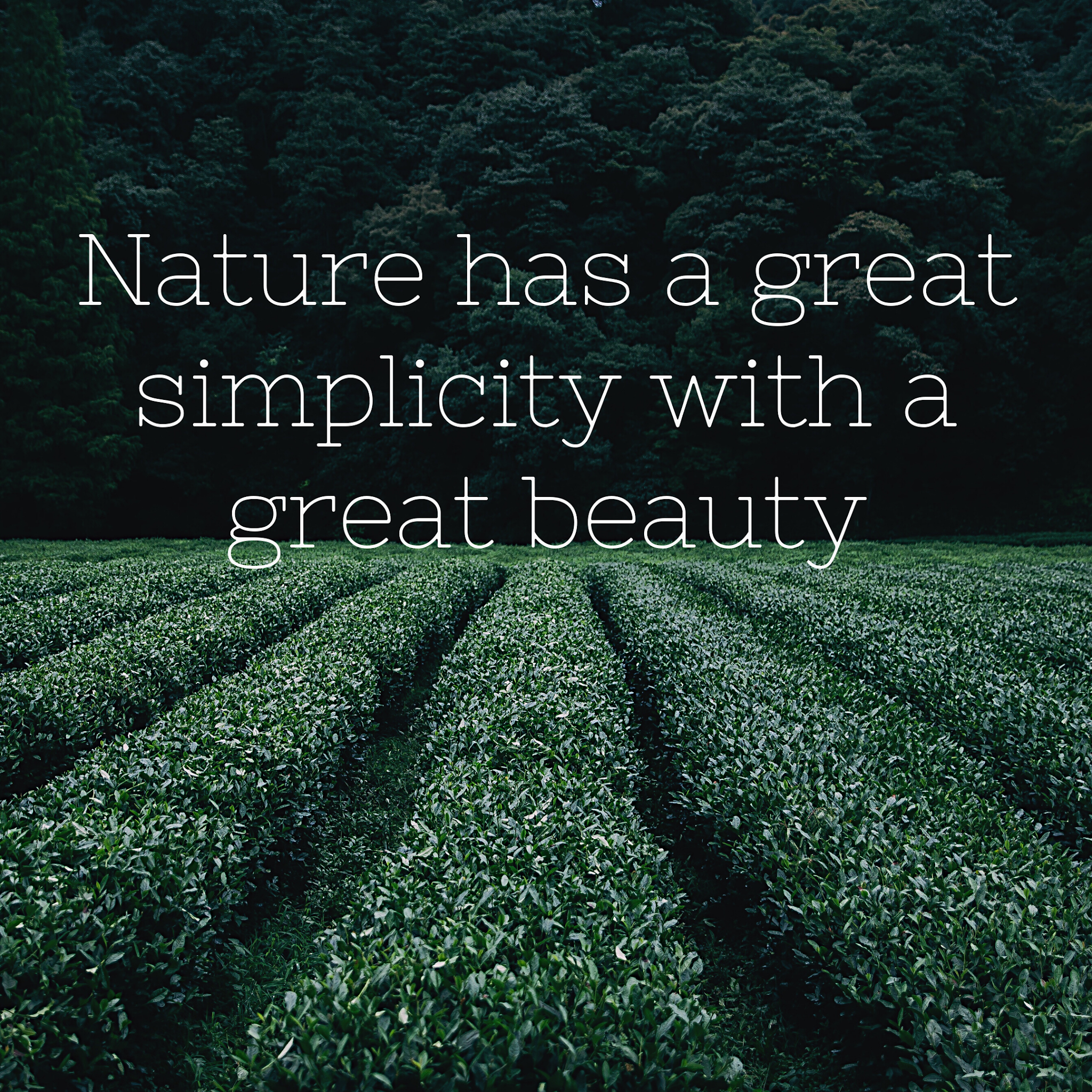 Nature Lover | Nature captions | store - Caption Store