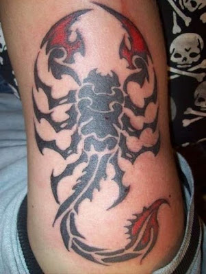 free design scorpion tattoo