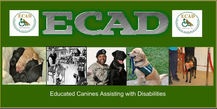 ECAD Service Dogs