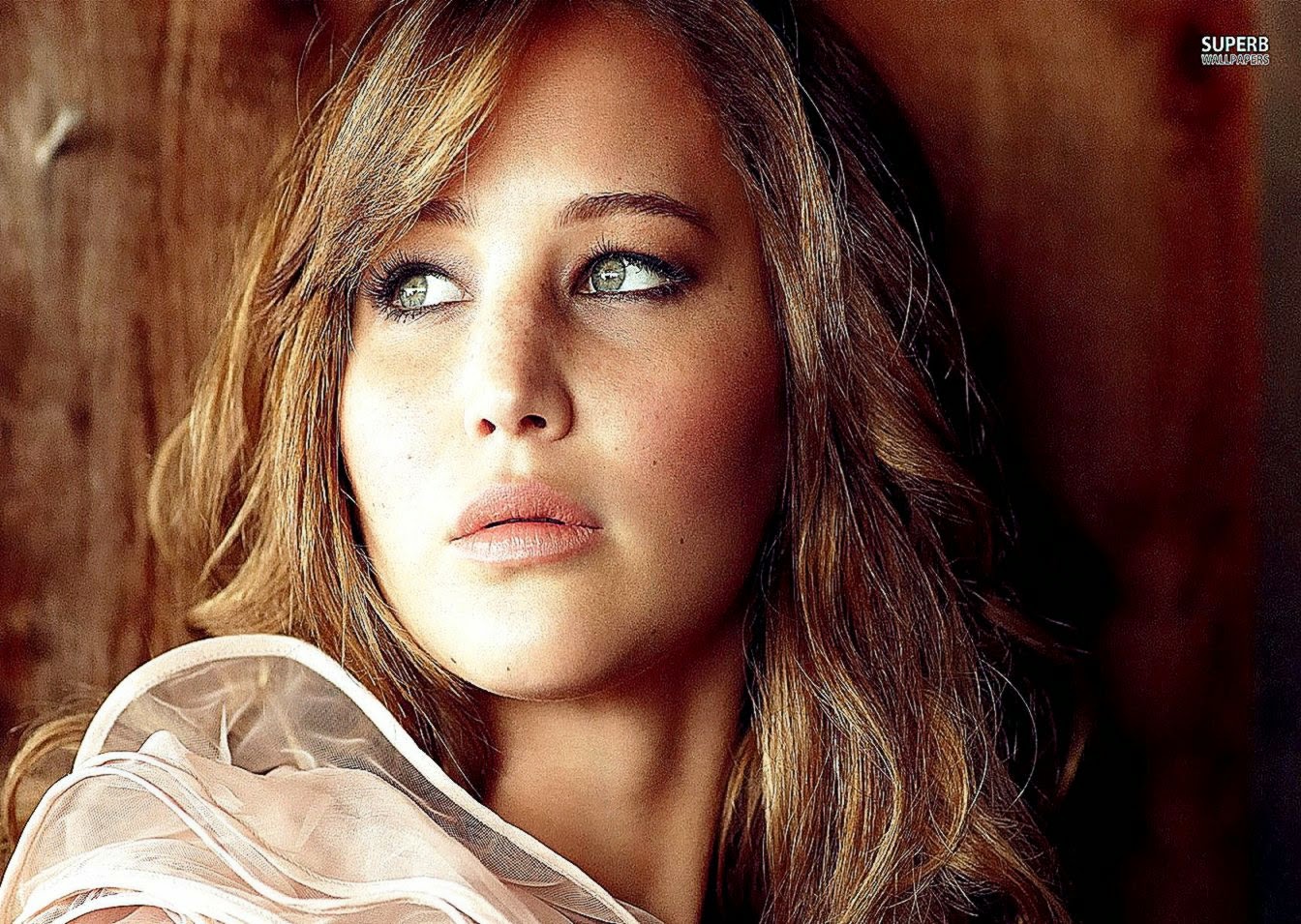 Jennifer Lawrence Widescreen 2 HD Wallpapers  www