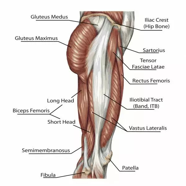 Want Attractive Butt? Do these 3 intense Glute Exercises