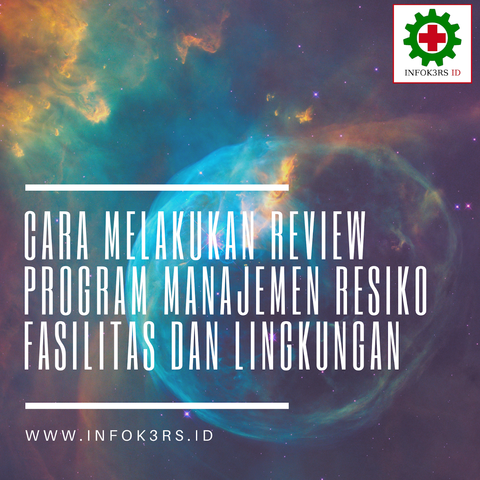 review program mfk