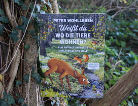 Im Wald unterwegs: "Weißt Du, wo die Tiere wohnen?" Das neue Kinderbuch von Peter Wohlleben ist erschienen und ich stelle es Euch auf Küstenkidsunterwegs ausführlich vor. Freut Euch auf ein liebevoll-informativ zusammengestelltes Kindersachbuch für alle Natur- und Tierfreunde ab 6 Jahren!