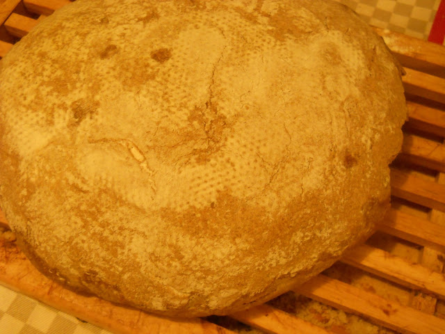 pane di segale 