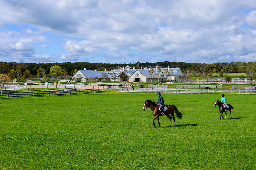 Bright Side Farm [ Stable Insider ]