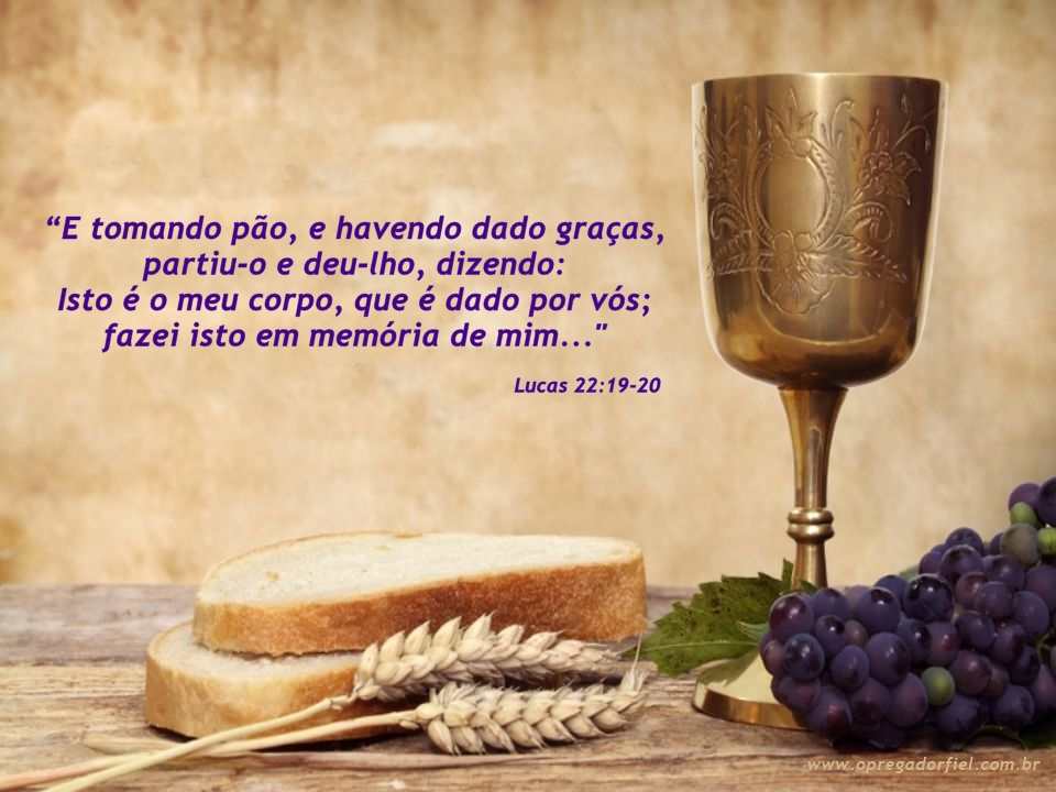 Em Memória de Nosso Salvador