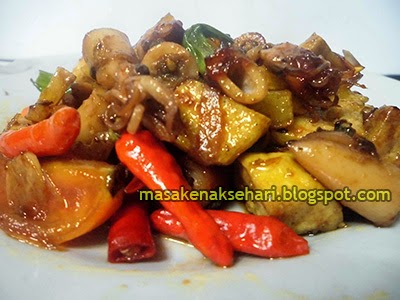 Oseng Ikan Asin Cumi Nano-Nano Resep Cara Memasak Ikan Asin Cumi Asam Manis Pedas