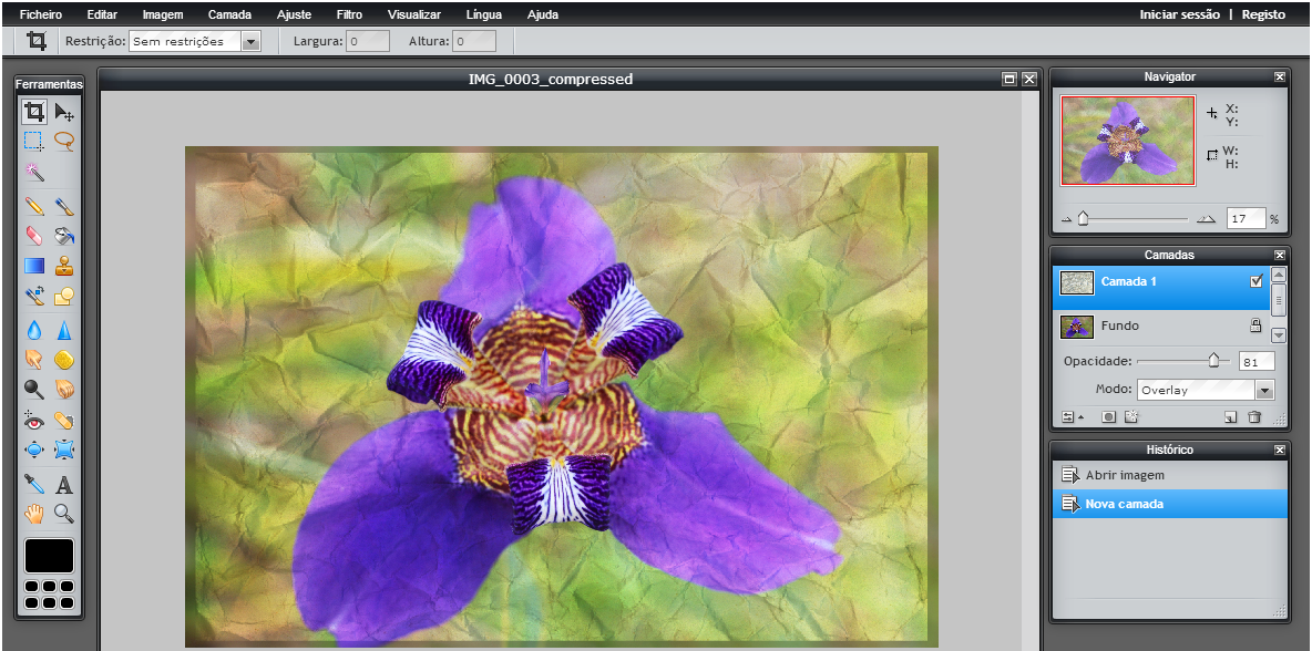 Overlay 81 Overlay 81