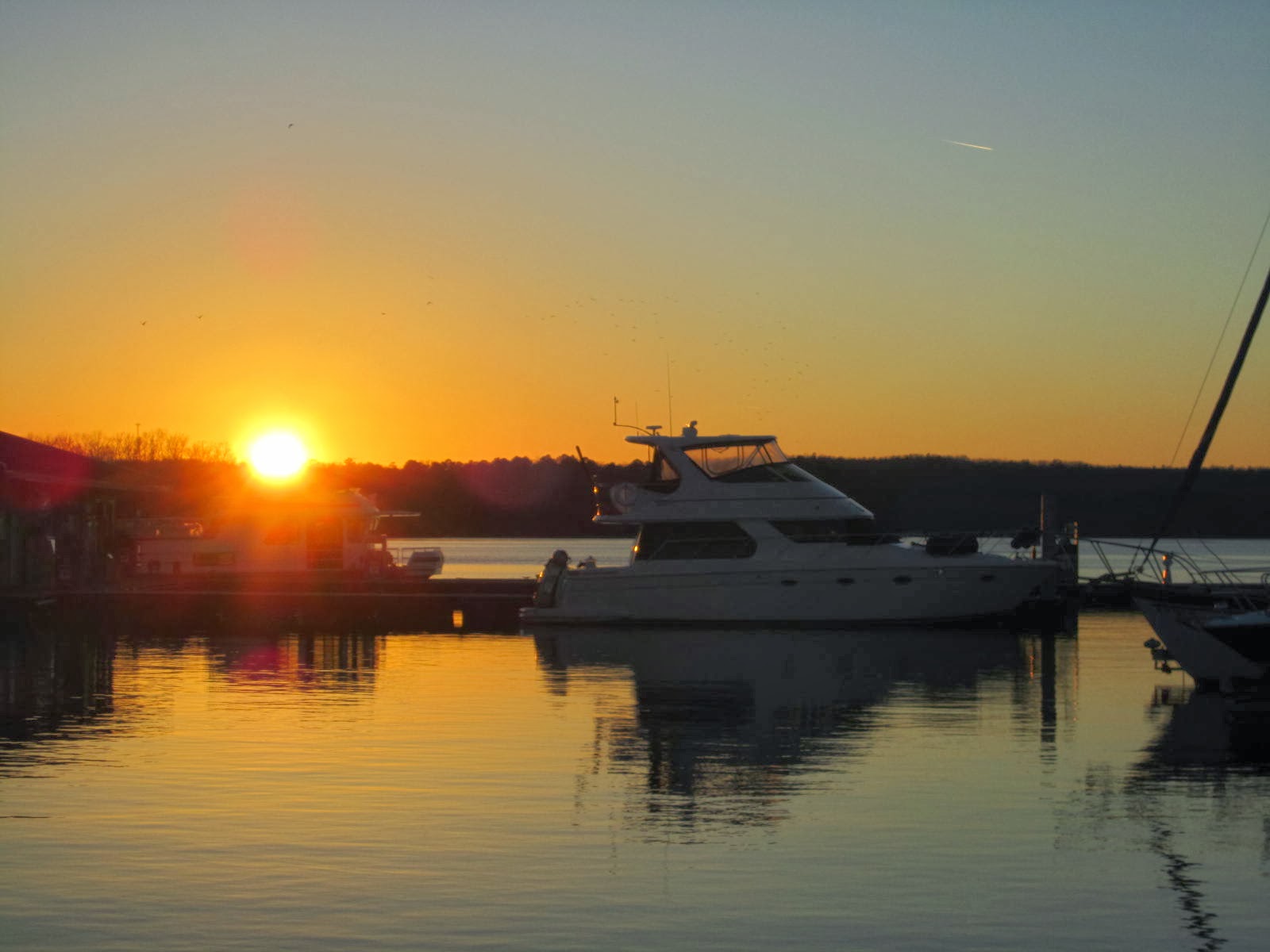 Family 4 Afloat Grand Harbor Marina, Counce, TN