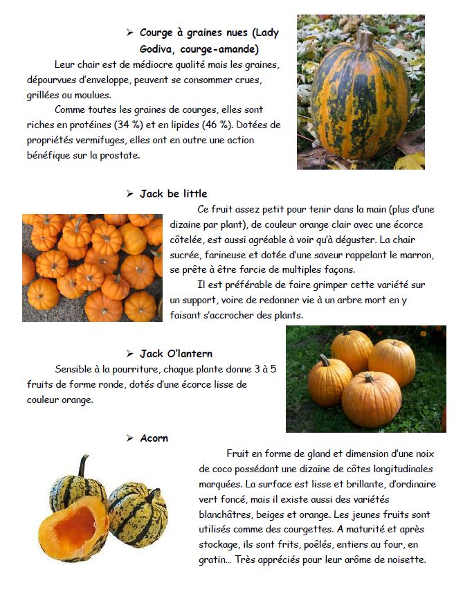 Breuillet Nature Les courges