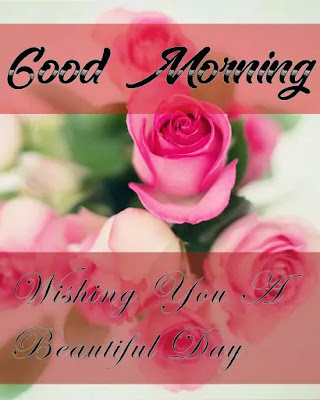 Good Morning Images Good Morning Images