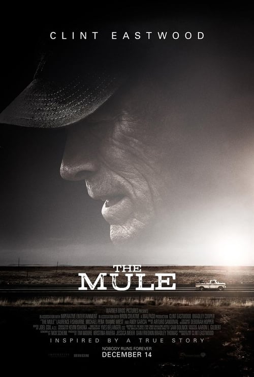 [HD] La Mule 2018 Film Complet En Anglais