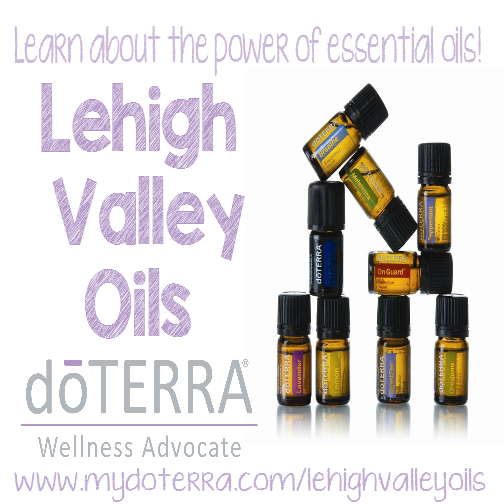 Lehigh Valley Oils Cleaning your Home with Essential Oils