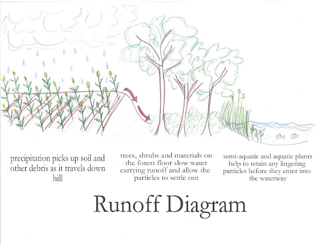 Mind Grapes: Here's a little something I made to educate you on what I do