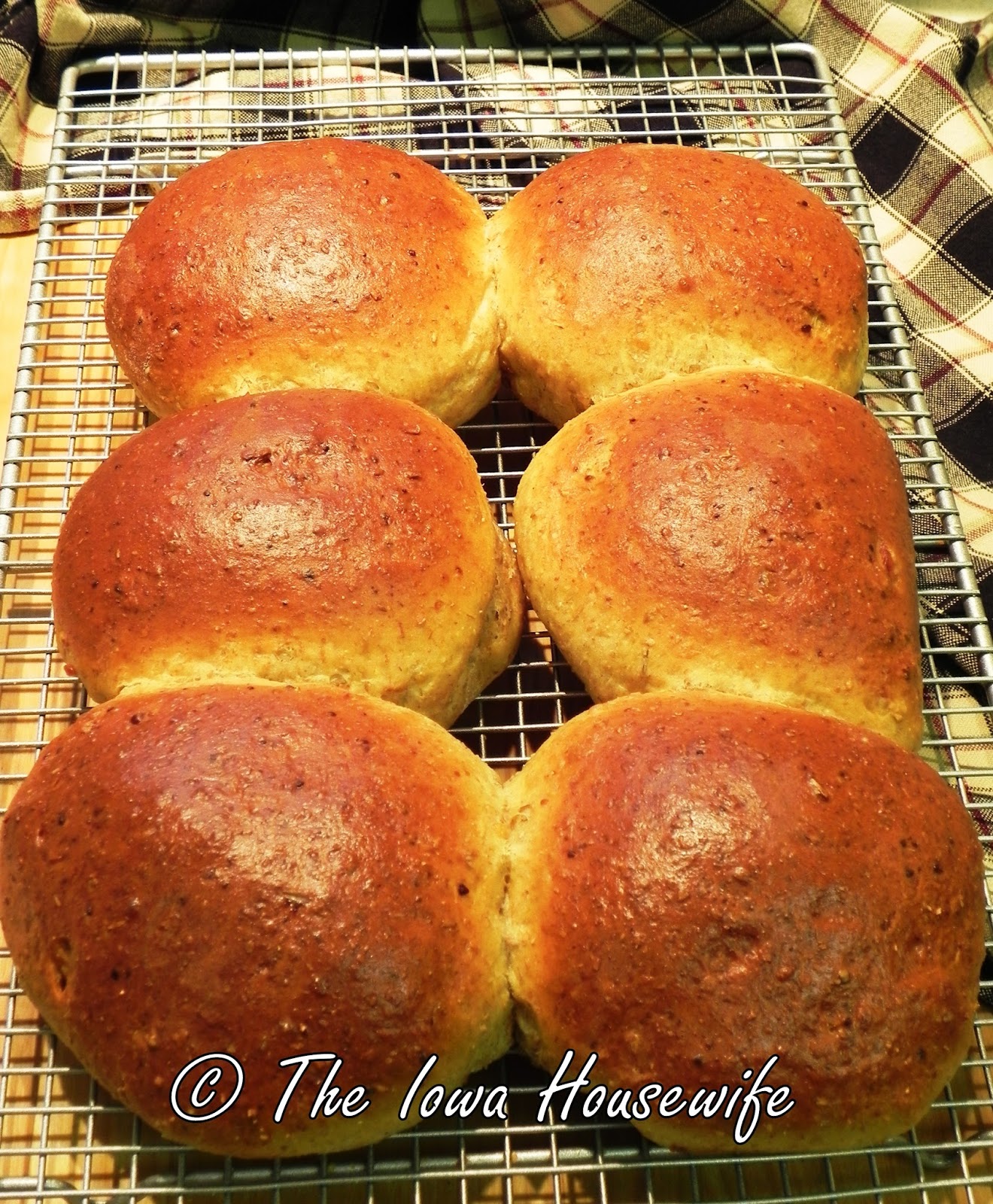 The Iowa Housewife Pumpernickel Big Buns