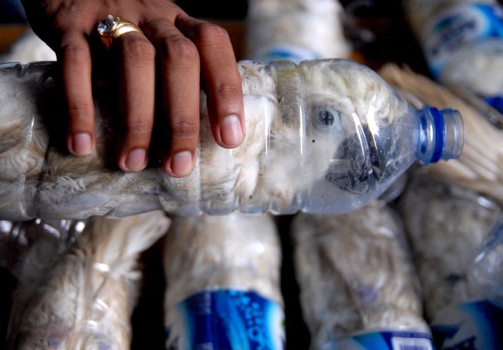 70 Of The Most Touching Photos Taken In 2015 - A policeman holds a water bottle with a yellow-crested cockatoo squished inside for illegal trade in Surabaya, Indonesia.