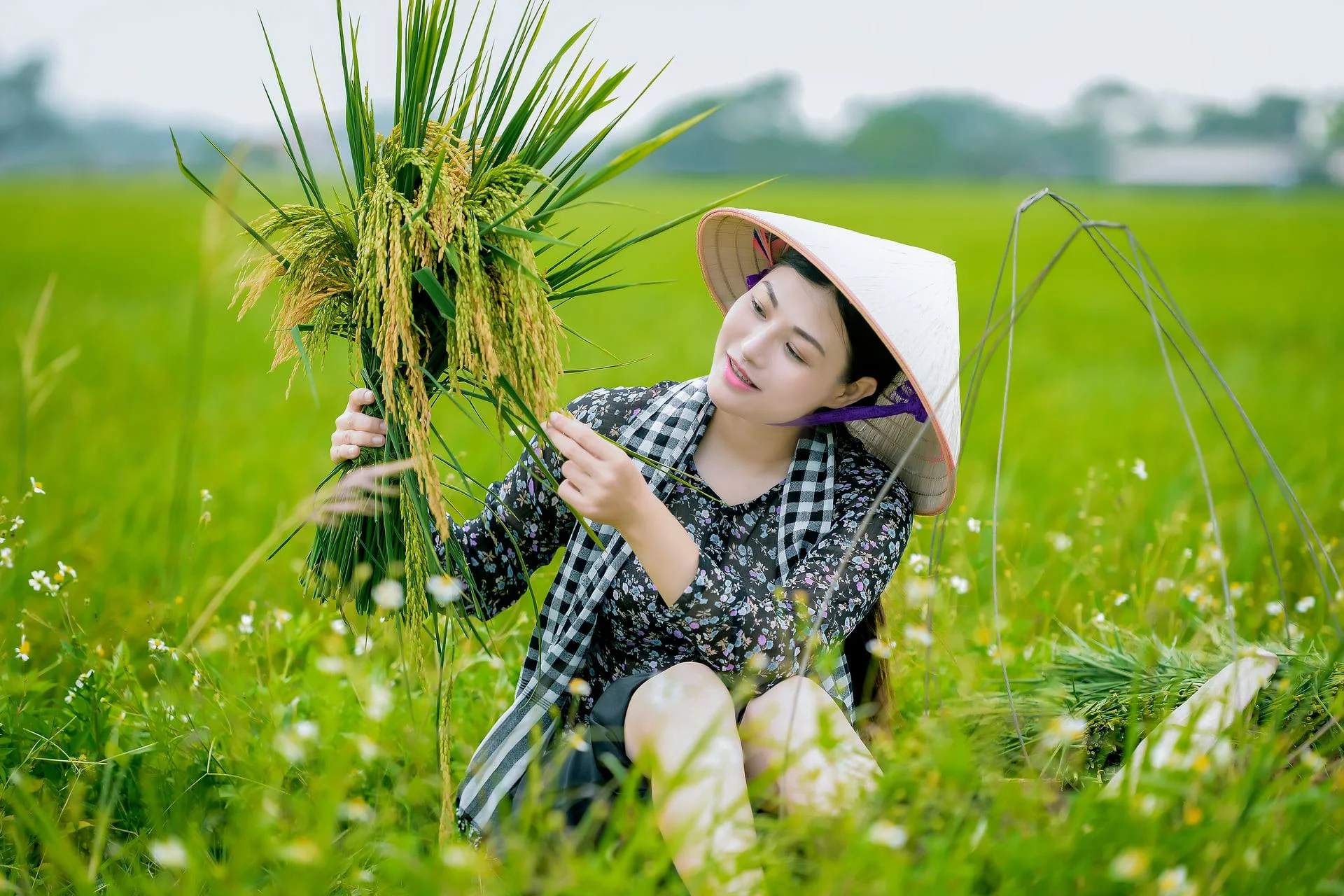 Template thiết kế bởi giaodienblog.com