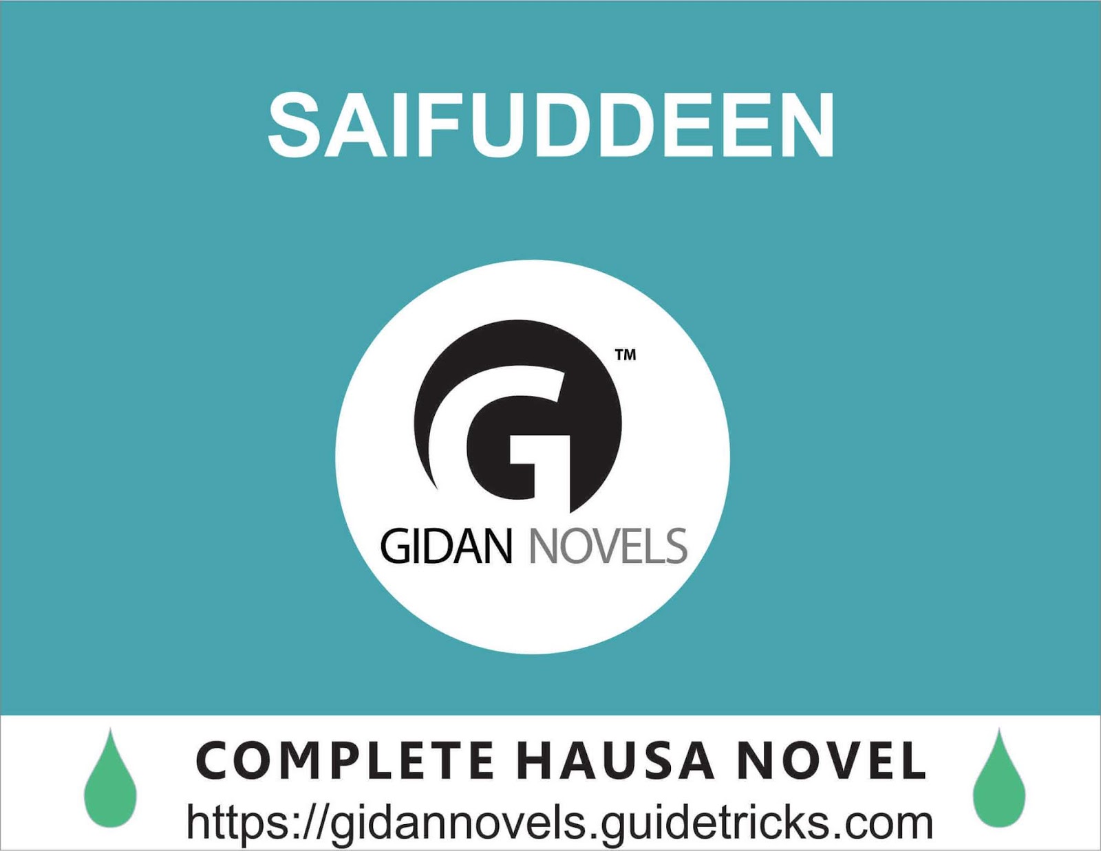 Miya Kaifa Sex Videos - SAIFUDEEN COMPLETE HAUSA NOVEL - Gidan Novels | Hausa Novels