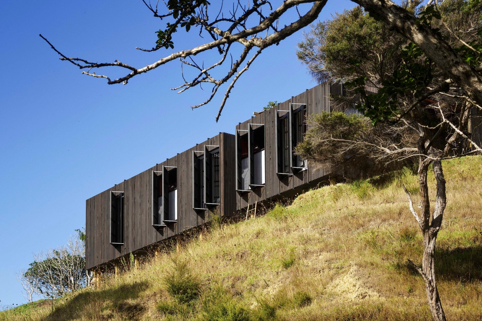 Новая зеландия дом Новая зеландия дом