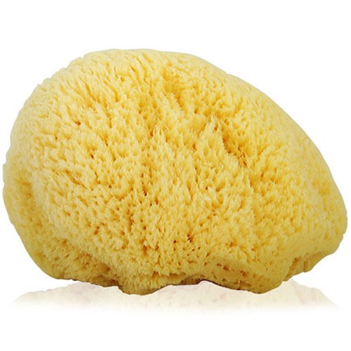 Natural Sea Sponges for Baby's delicate skin Cambridge Greek Corner