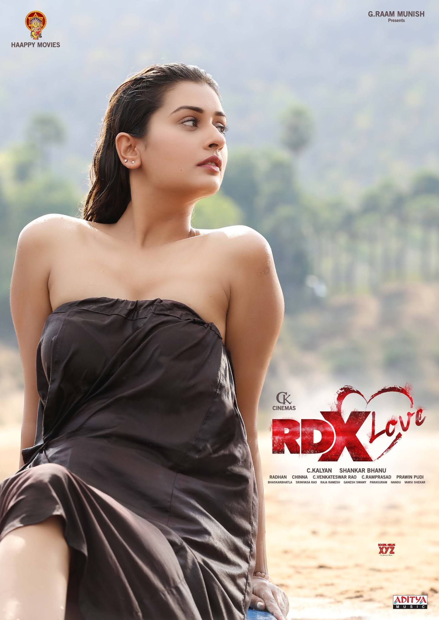 Sexy+Actress+Payal+Rajput+Pictures+4.jpg