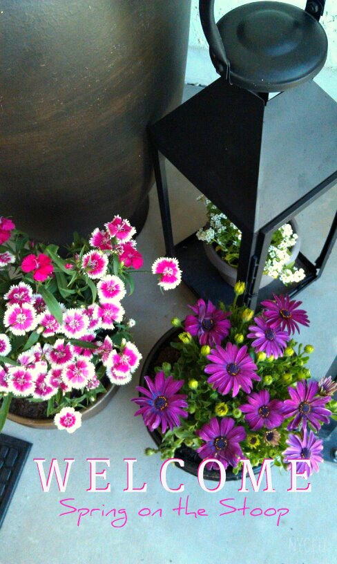 FOCAL POINT STYLING: Welcoming Spring With a Garden Container Outdoor Entry