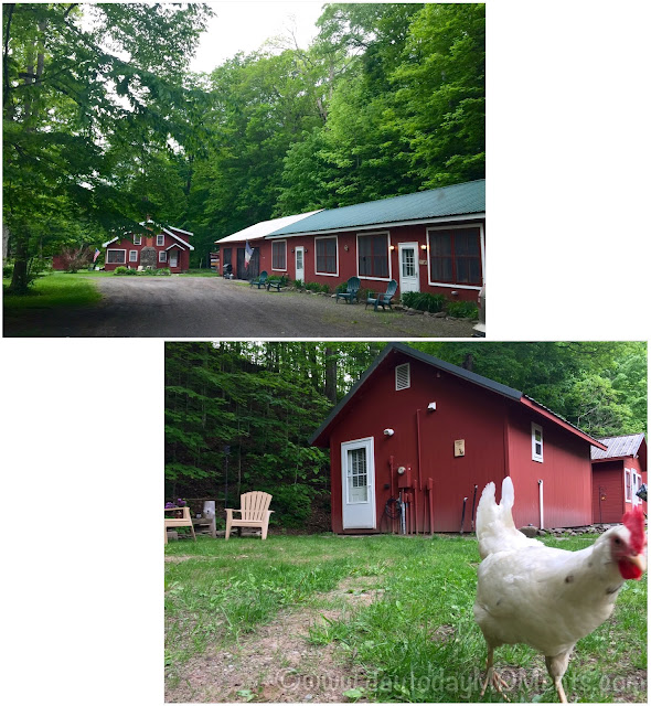 Wellnesste Lodge review