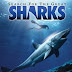 #1,968. Search For The Great Sharks (1995)