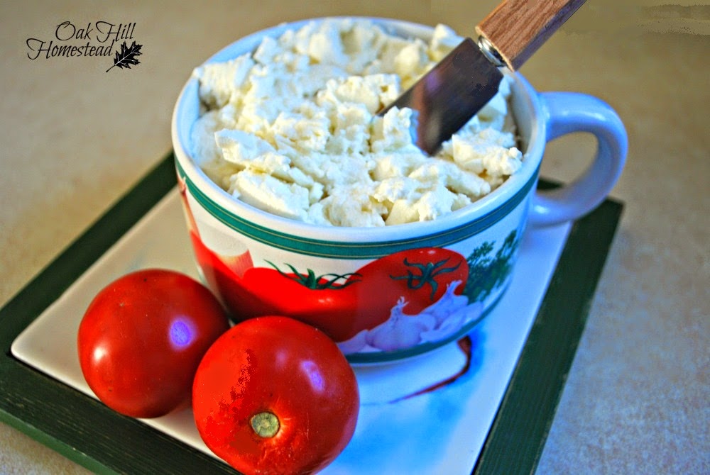 Chèvre Cheese Oak Hill Homestead