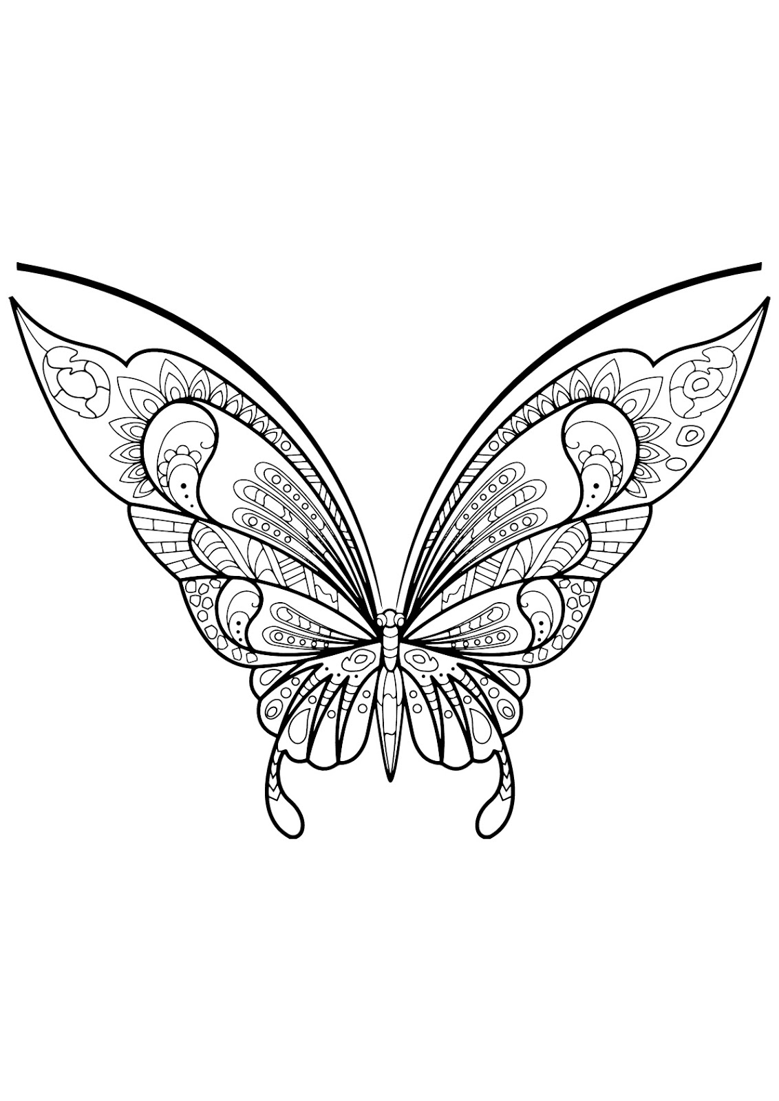 Tranh tô màu con bướm cánh trên to hơn cánh dưới
