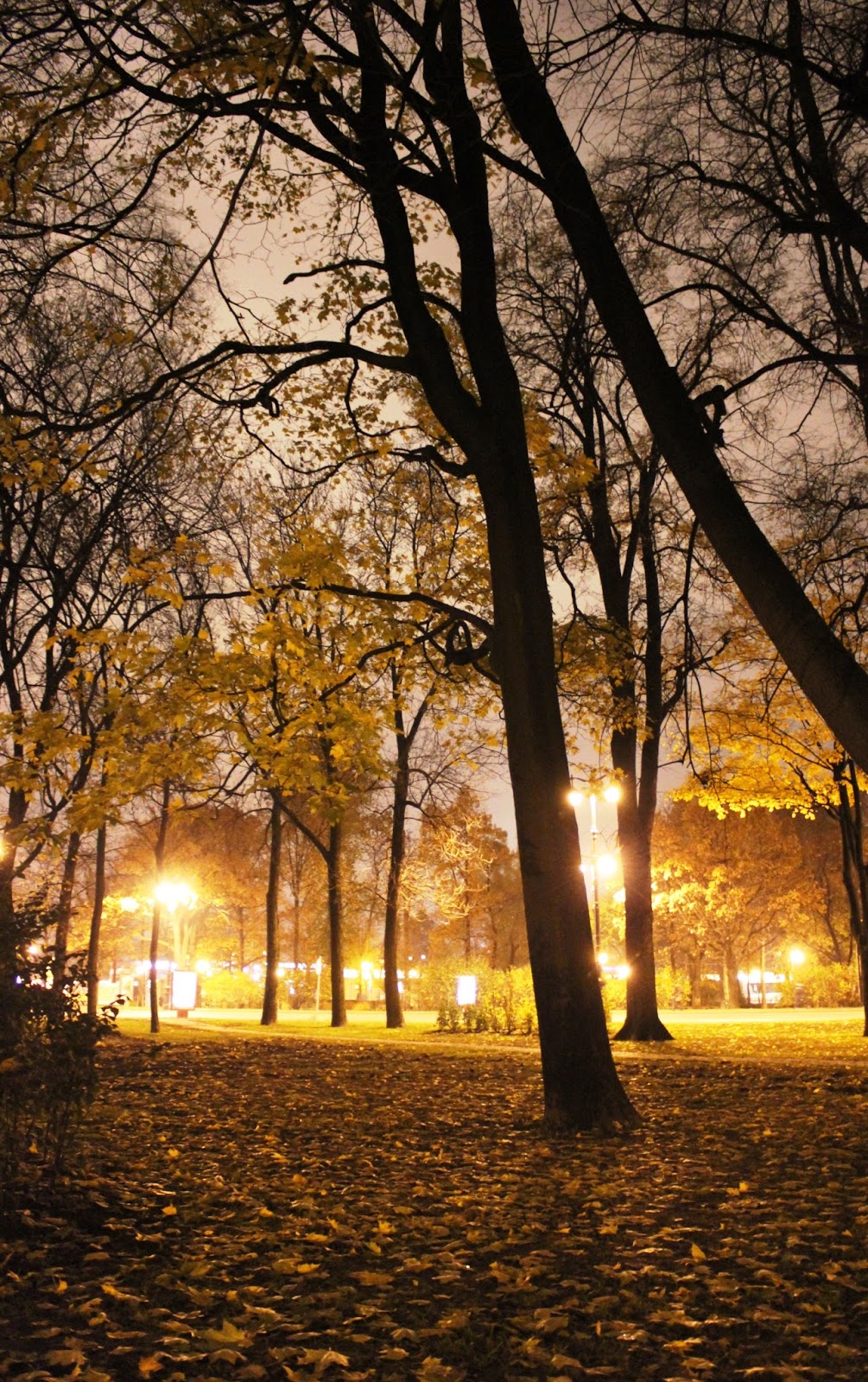 Осенний вечер октября. Осенний вечер. Ночной осенний парк. Осень вечер парк. Осенний парк вечером.