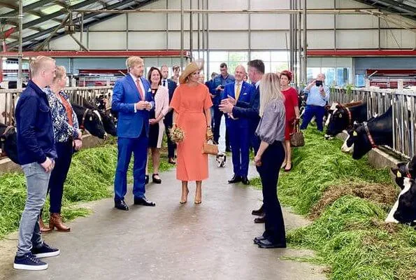 Queen Maxima wore a new dress from Natan. Belgian fashion house Natan. She wore a suede pumps from Gianvito Rossi. Fabienne Delvigne hat